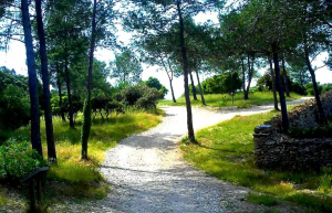 Cheminement Bois des Espeisses